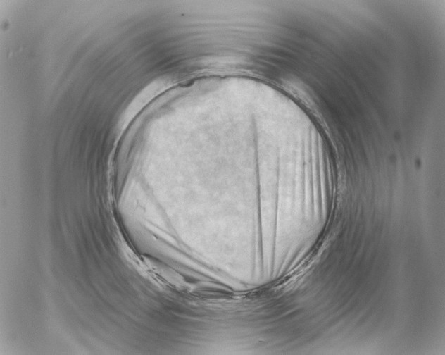 X0000053081386200508081234