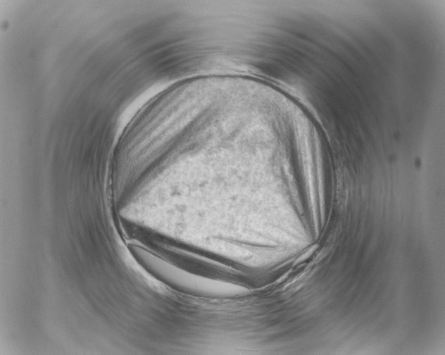 X0000053081387200508081234