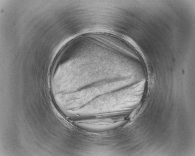 X0000053081388200508081234