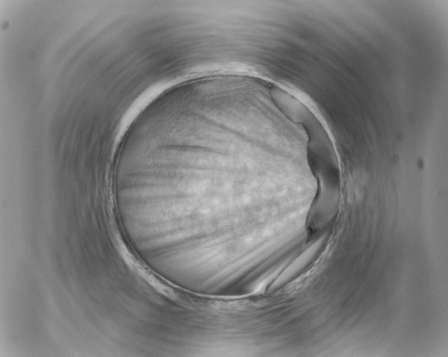 X0000053081389200508081234