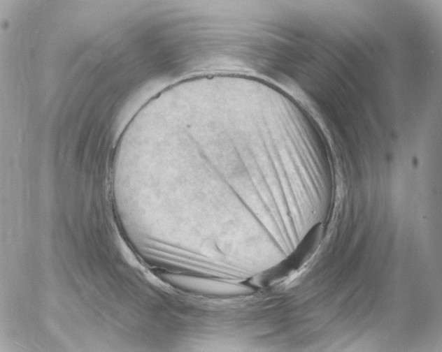 X0000053081390200508081234