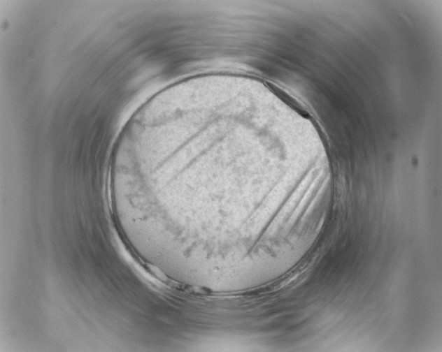 X0000053081391200508081234