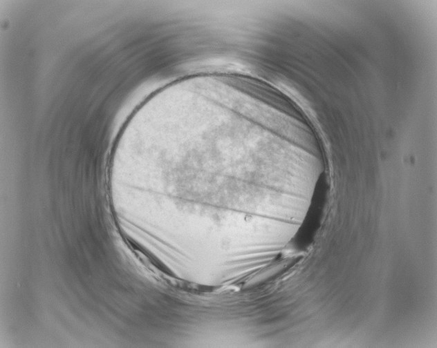 X0000053081392200508081234