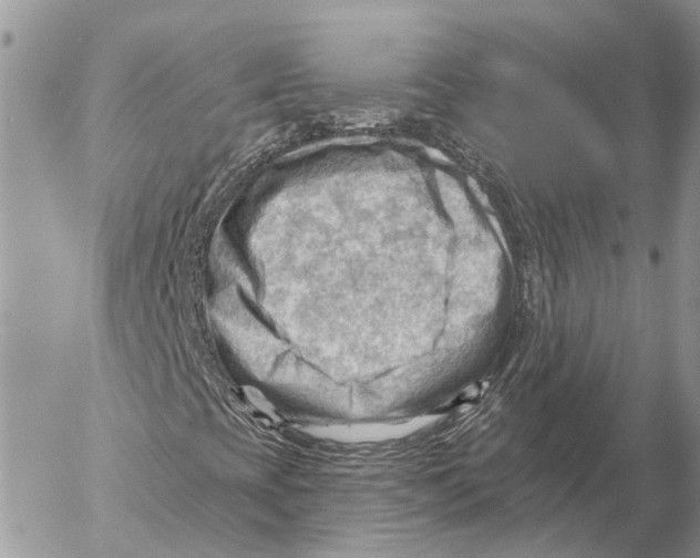 X0000053081393200508081233