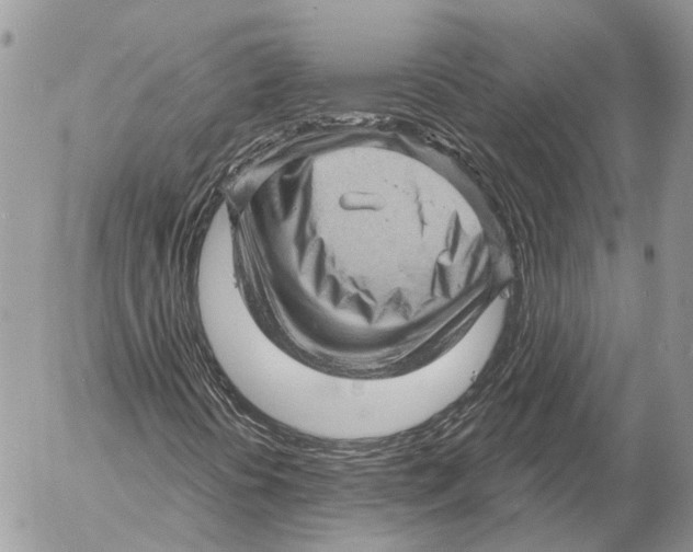 X0000053081394200508081233