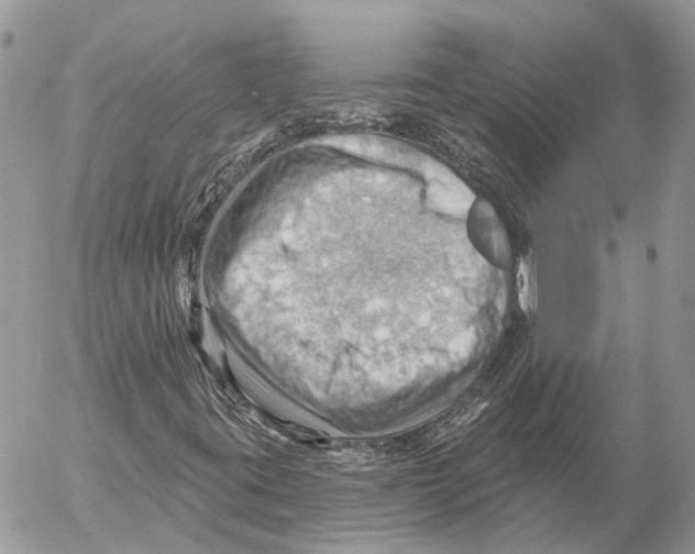 X0000053081395200508081233