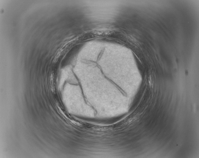 X0000053081396200508081233