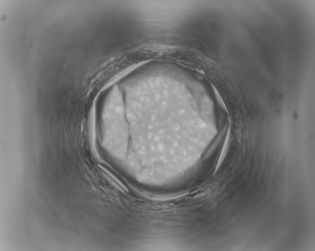 X0000053081397200508081233