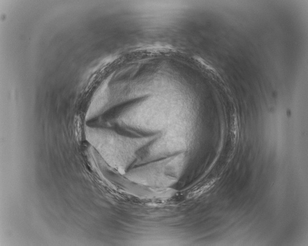 X0000053081398200508081233