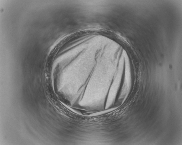 X0000053081400200508081233