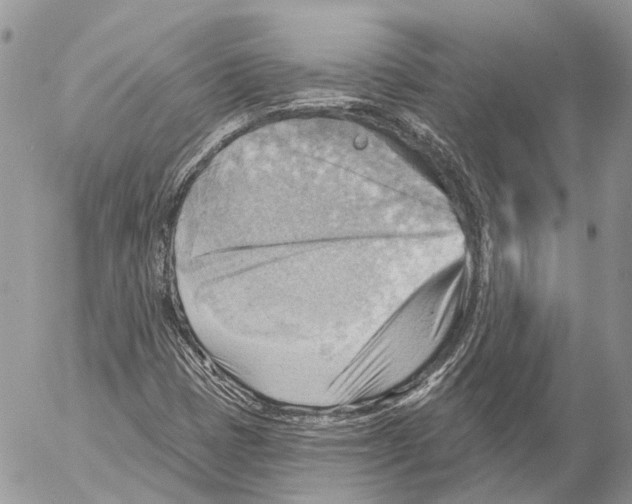 X0000053081401200508081233