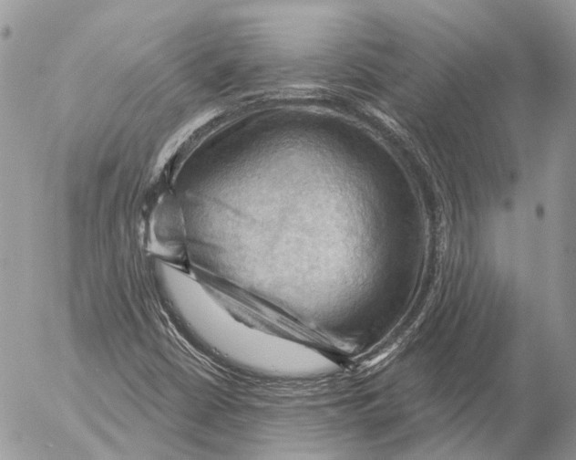 X0000053081402200508081233