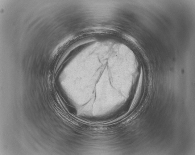 X0000053081403200508081233