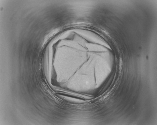 X0000053081405200508081233