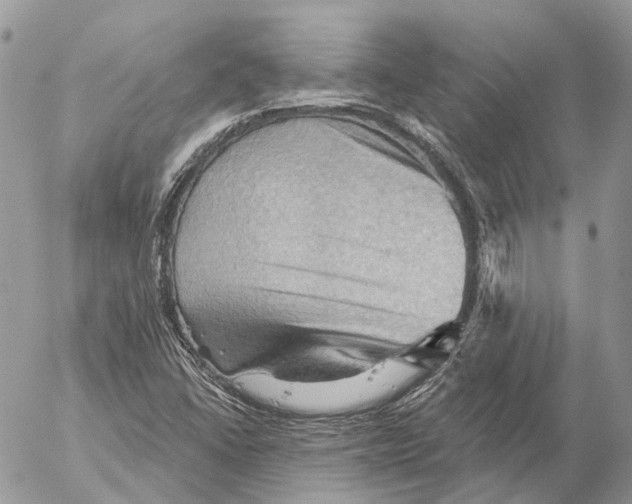 X0000053081406200508081233