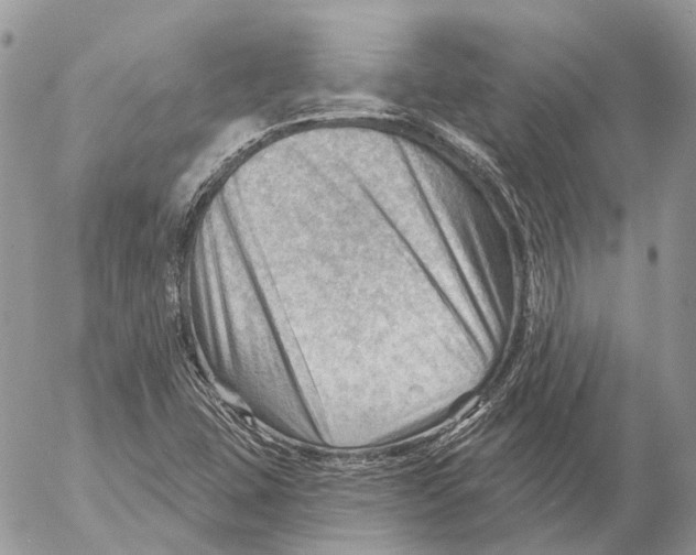 X0000053081407200508081233