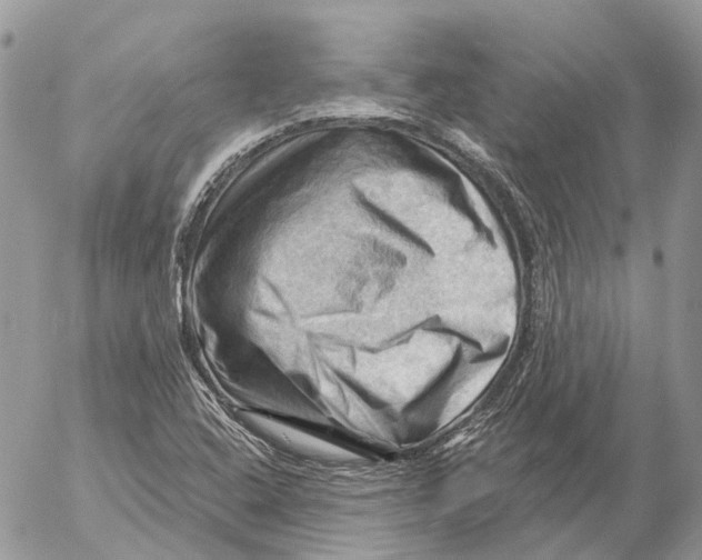 X0000053081408200508081233