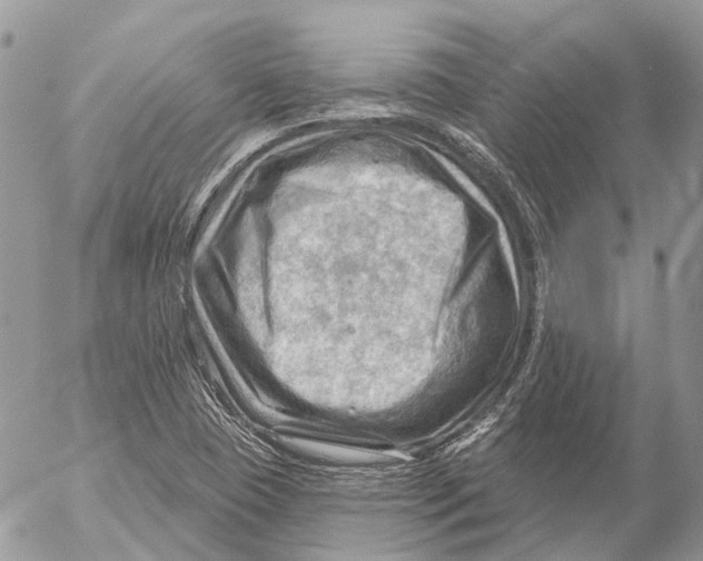 X0000053081409200508081233