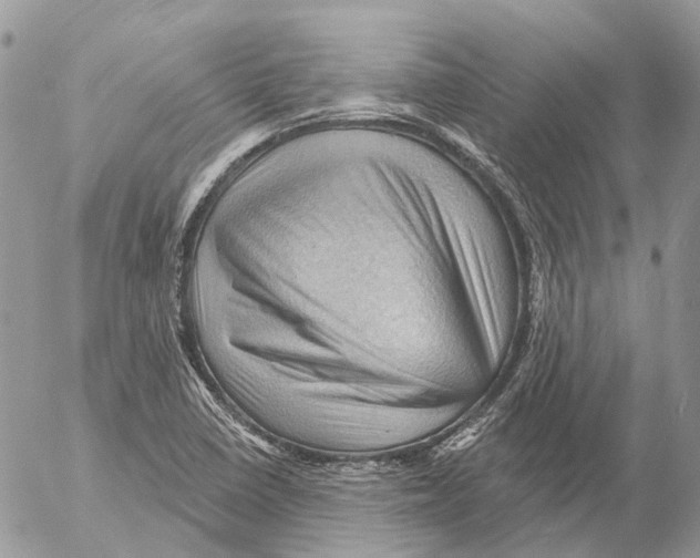 X0000053081410200508081233