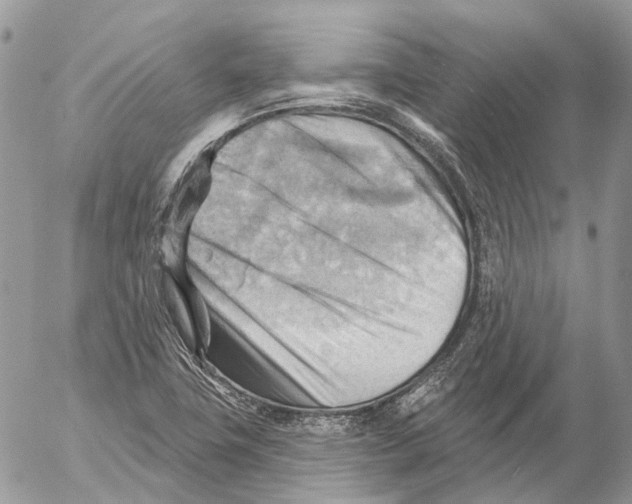 X0000053081411200508081233