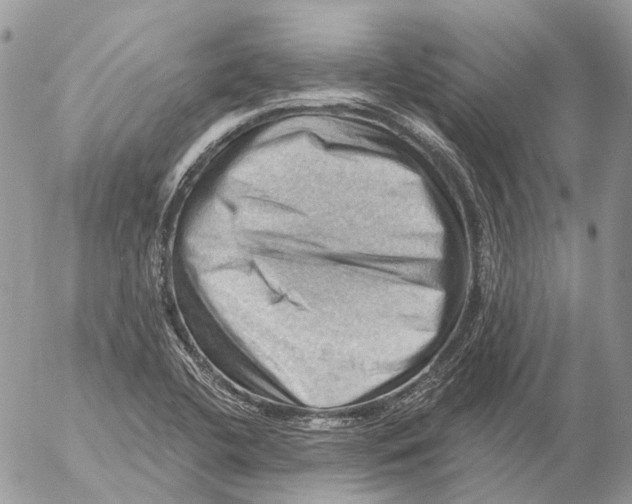 X0000053081412200508081233