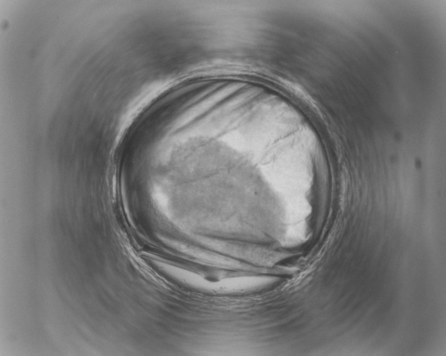 X0000053081413200508081233