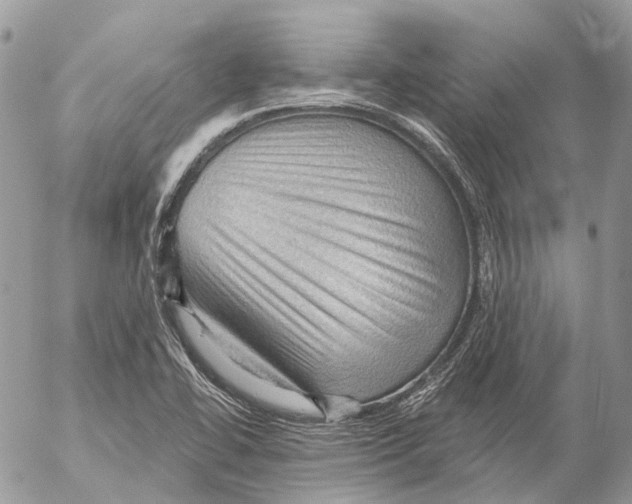 X0000053081414200508081233