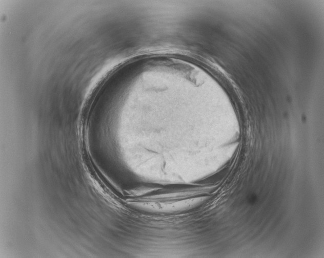 X0000053081416200508081234