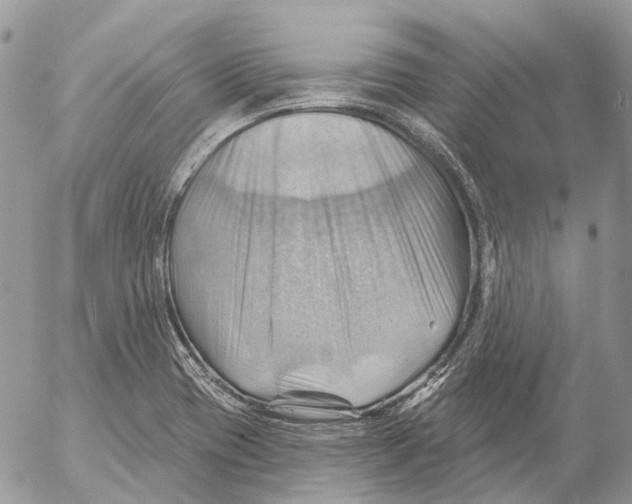 X0000053081417200508081234