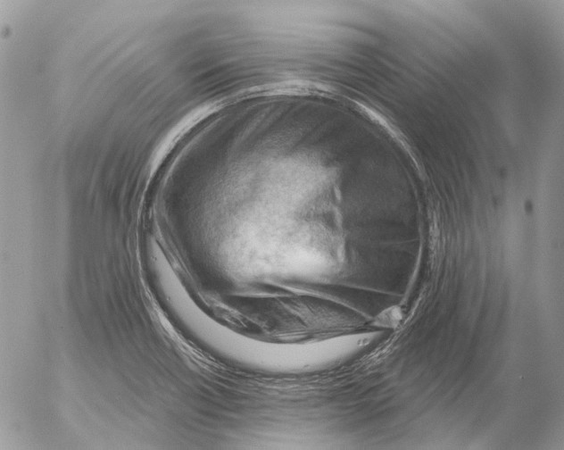 X0000053081418200508081234