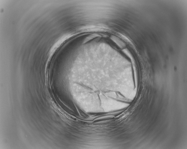 X0000053081419200508081234