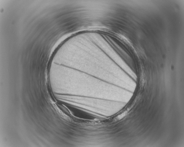 X0000053081420200508081234