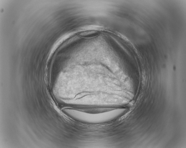 X0000053081421200508081234