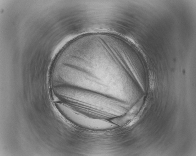 X0000053081422200508081234