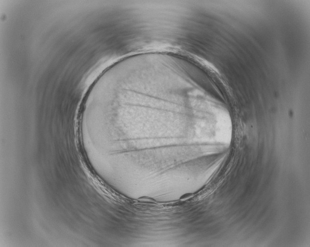 X0000053081423200508081234