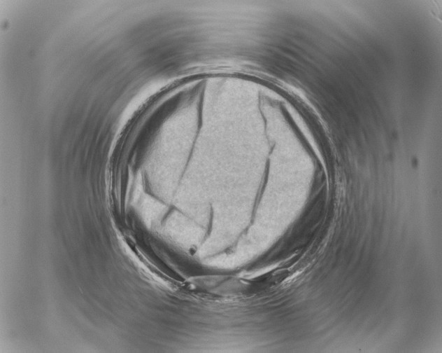 X0000053081424200508081234