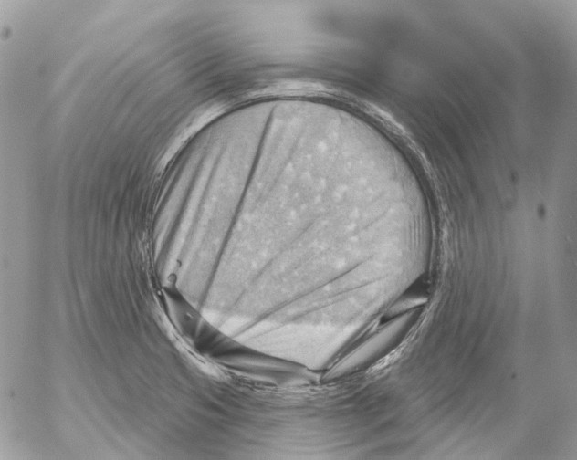 X0000053081425200508081234