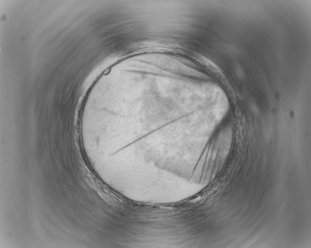 X0000053081427200508081234