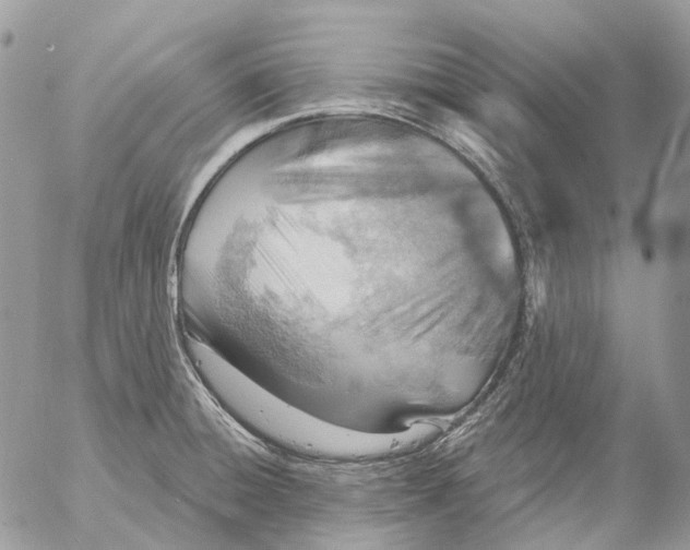 X0000053081428200508081234