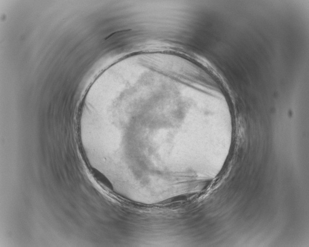 X0000053081429200508081234