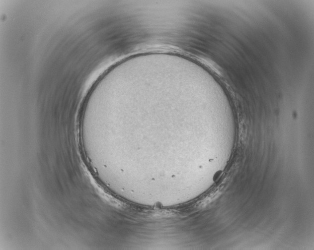 X0000053081430200508081234