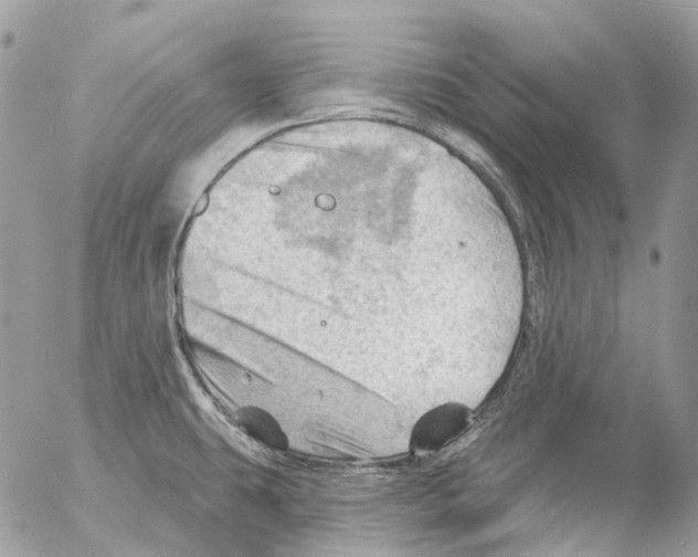 X0000053081431200508081234