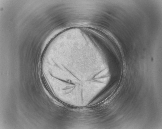 X0000053081432200508081234