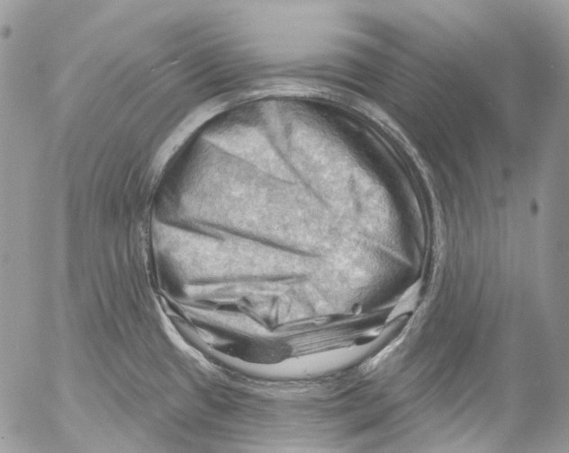 X0000053081433200508081234