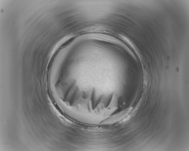 X0000053081434200508081234