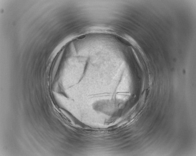 X0000053081435200508081234