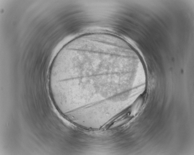 X0000053081437200508081234