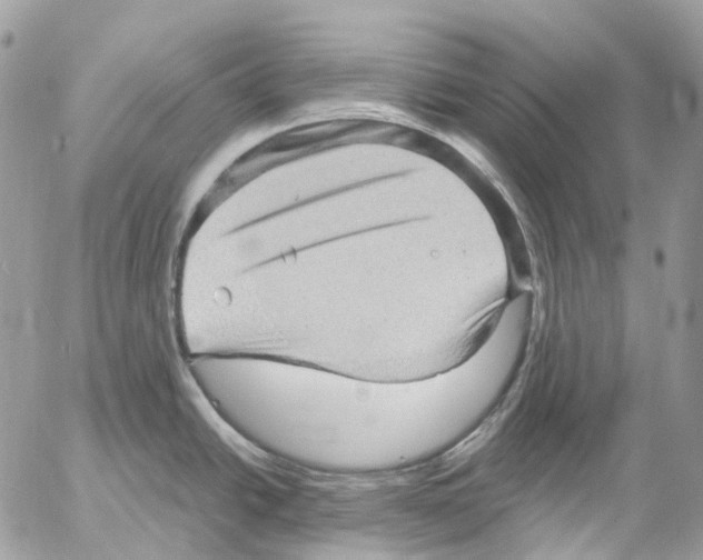 X0000053081438200508081234