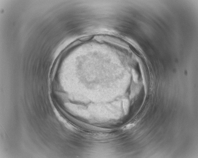 X0000053081439200508081234