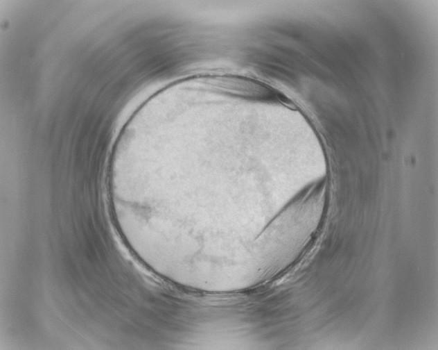 X0000053081440200508081234